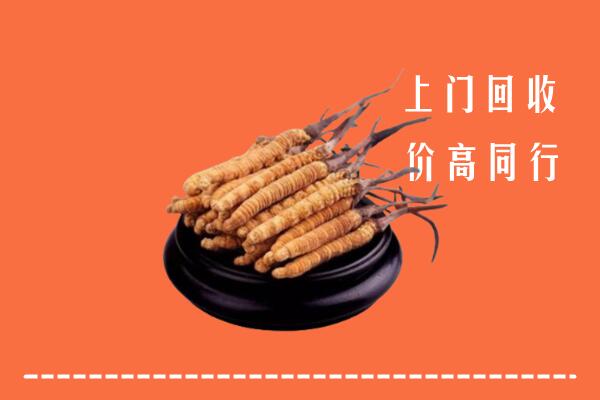 高价求购：绩溪回收散虫草