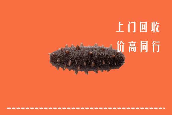 高价求购：绩溪回收海参